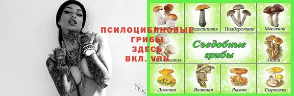 apvp Остров