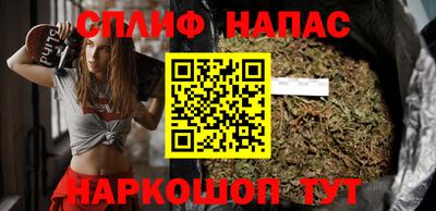 дмт Аргун