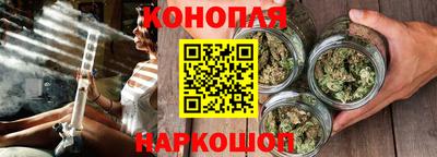 дмт Аргун