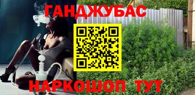 дмт Аргун
