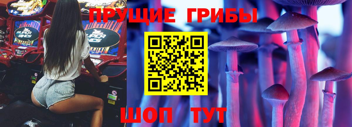 Галлюциногенные грибы Psilocybe  Вход с VPN  Галлюциногенные грибы мицелий  Асбест 